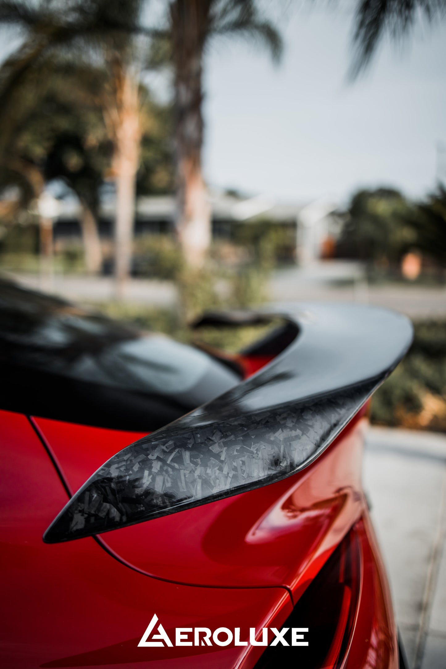 MkV Supra Spec-AG Forged Carbon Fiber Wing