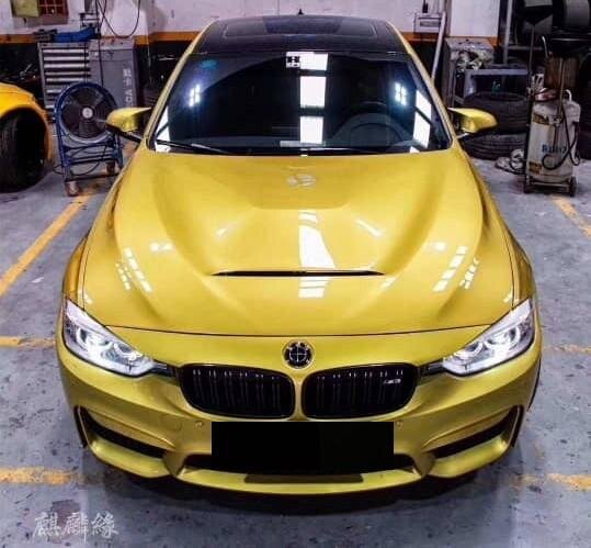 AeroLuxe BMW F30/32 Aluminum Spec-GTS Hood