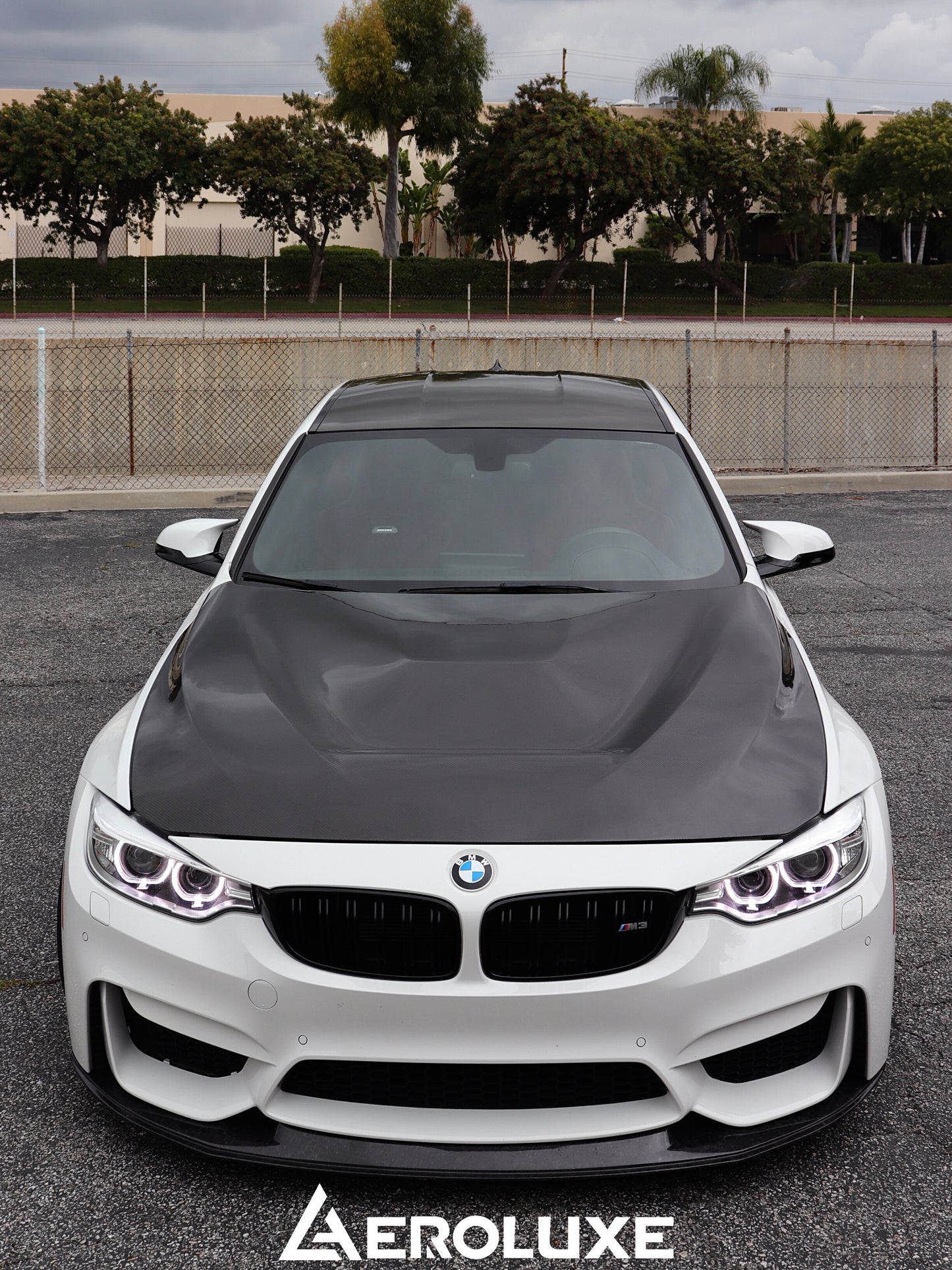 AeroLuxe BMW F80 F82 F83 Spec-GTS Carbon Fiber Hood