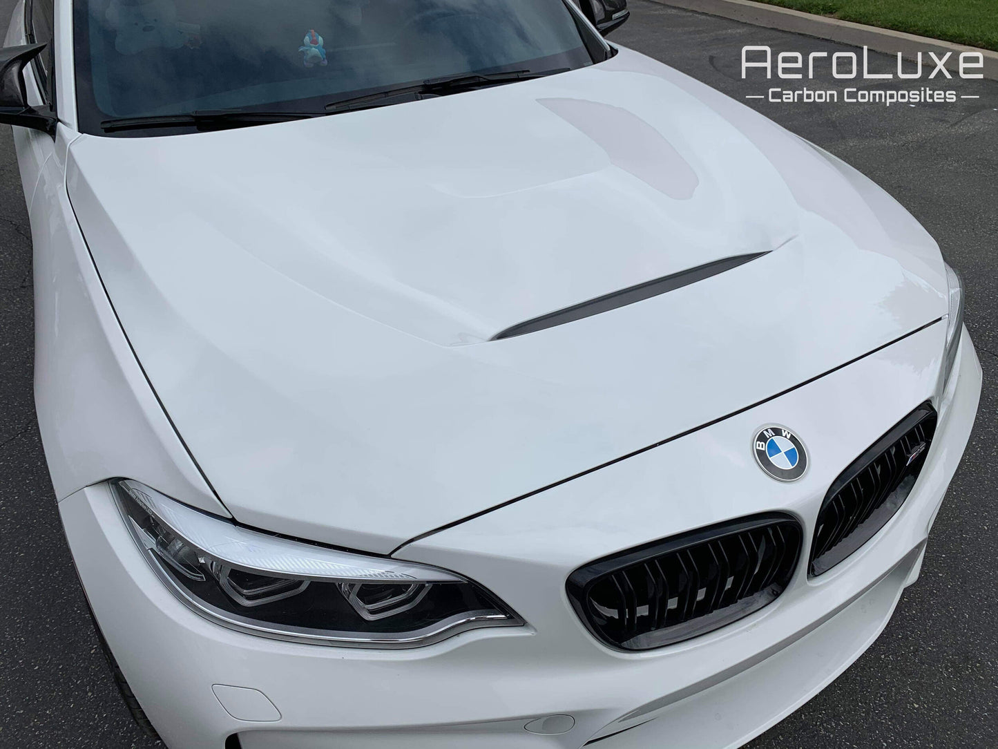 AeroLuxe BMW F22 F87 Spec-GTS Aluminum Hood