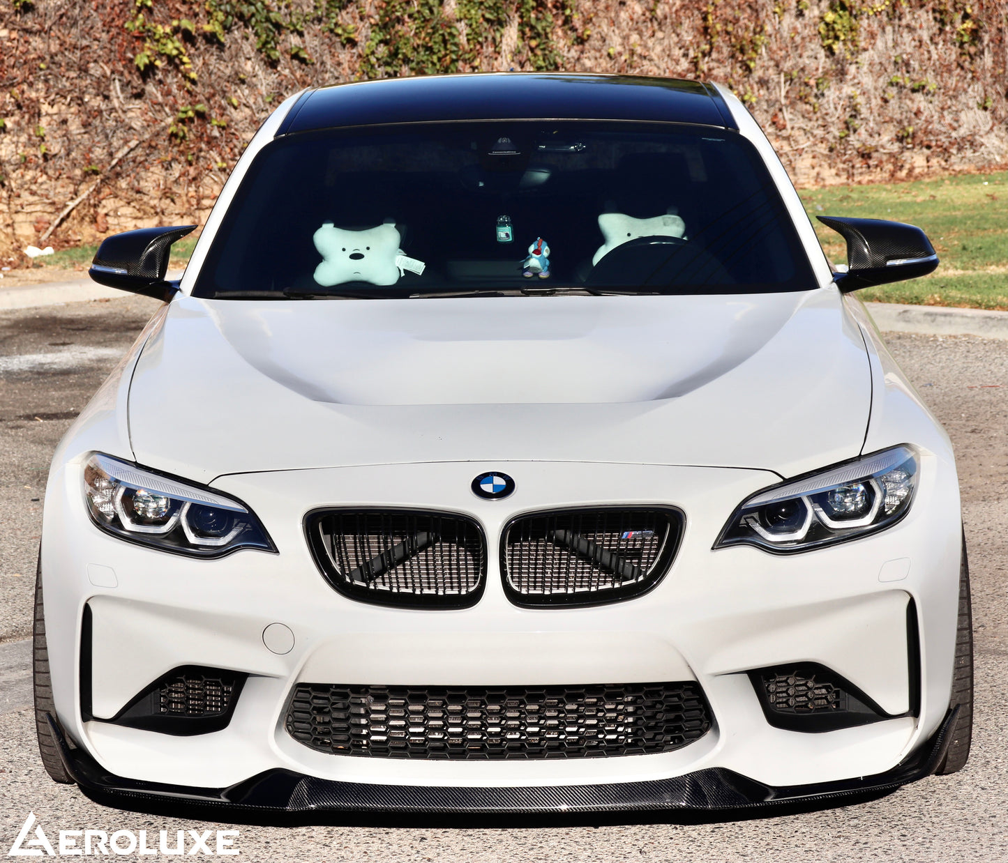 AeroLuxe BMW F87 M2 (Non-Competition) Spec-CS Carbon Fiber Front Lip