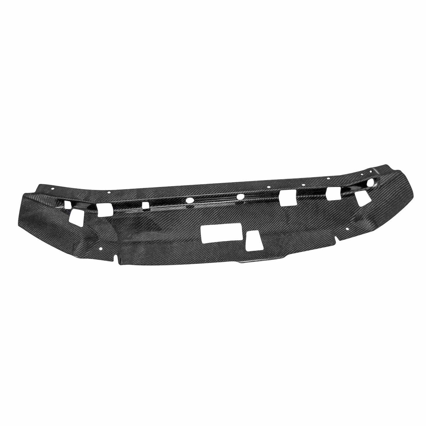 Seibon Carbon fiber cooling plate for 1999-2001 Nissan Skyline R34